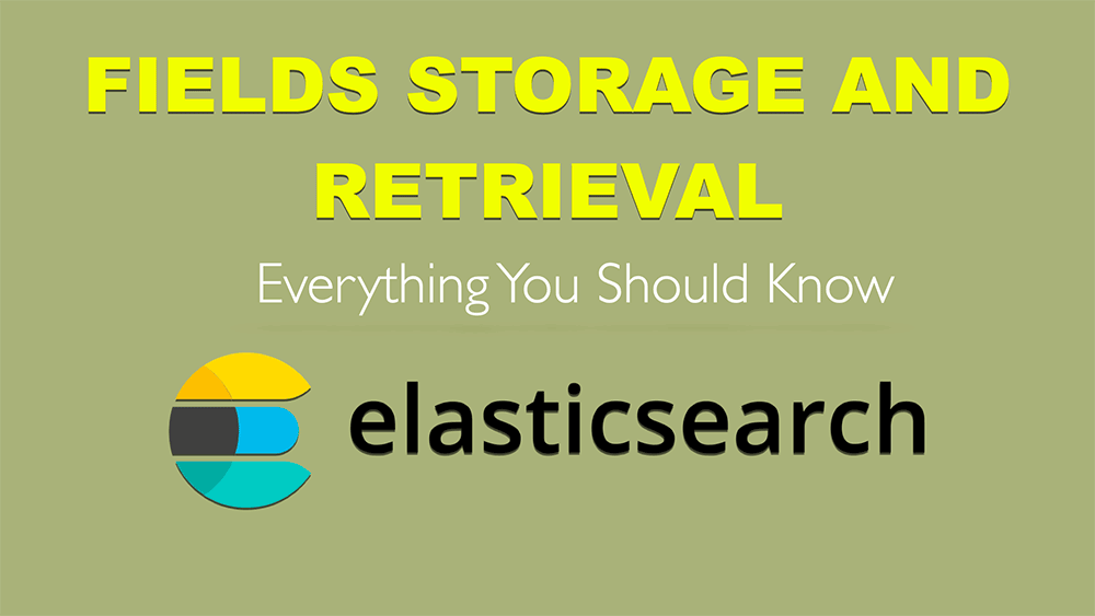 fields storage and retrieval in elasticsearch